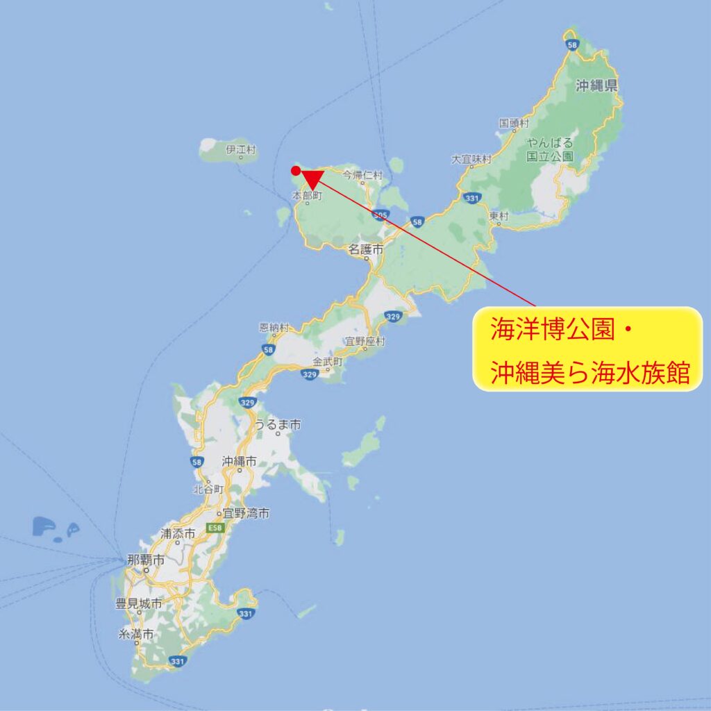 沖縄 テーマパーク編 旅行会社が選ぶお客様満足度が高い施設5つ まぁーライフ 沖縄 テーマパーク編 旅行会社が選ぶお客様満足度が高い施設5つ まぁーライフ